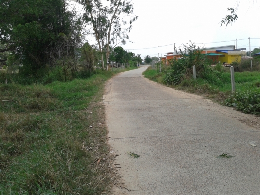 ขายที่ดิน 2ไร่ 2งาน ต.พุดซา อ.เมือง จ.นครราชสีมา  ห่างจากถนน โคกสูง-ขามทะเลสอ เพียง 50เมตร