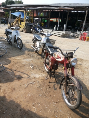 ขาย YL2 มีเล่ม ไม่โอน ราคากันเอง สภาพสวย