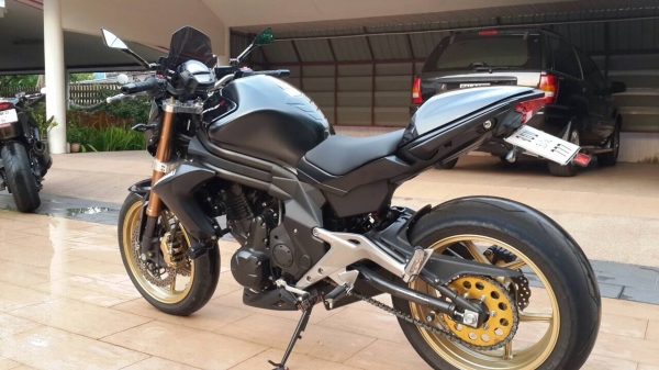 ขาย ER6n