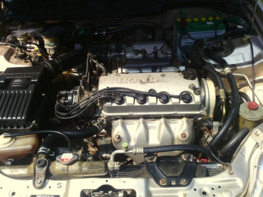 ชีวิคตาโต