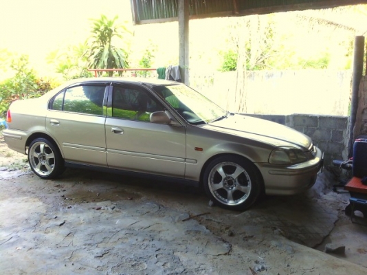 ชีวิคตาโต