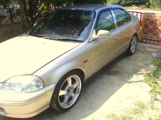 ชีวิคตาโต