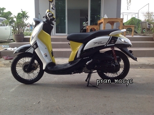 ขายfino fi สีขาวเหลืองดำ ปี2556