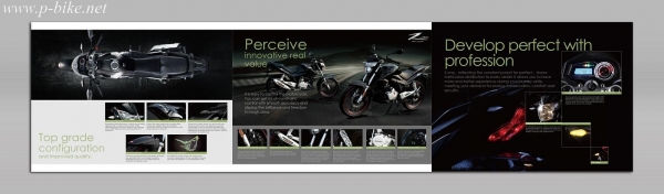 รถมอเตอร์ไซค์ สปอร์ตเน็คเก็ต RYUKA  รุ่นZone(แซดวัน)  เครื่องยนต์4 จังหวะ200ซีซี สตาร์ทมือ ล้อแมกส์และดิสก์เบรกหน้า-หลัง ไฟหน้าสุดเฉี่ยว สุดดุดัน อิตาลีดีไซน์ กับ ราคาสุด คุ้ม