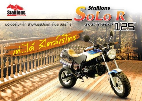 STALLIONS รุ่น SOLO RETRO เท่ห์ได้ สไตล์เรโทร