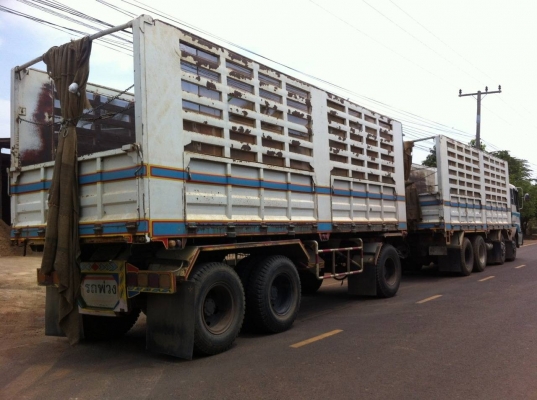 ขาย รถบรรทุก HINO PROFIA