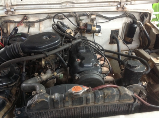 คาริเบี้ยนปี40 คาริเบี้ยนปี40