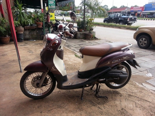 ฟีโน่ ปี 53