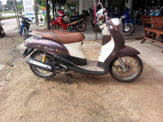 ฟีโน่ ปี 53