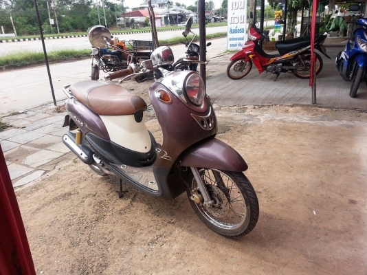 ฟีโน่ ปี 53