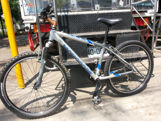 ขายเสือภูเขา