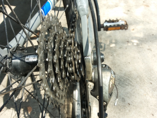 ขายเสือภูเขา