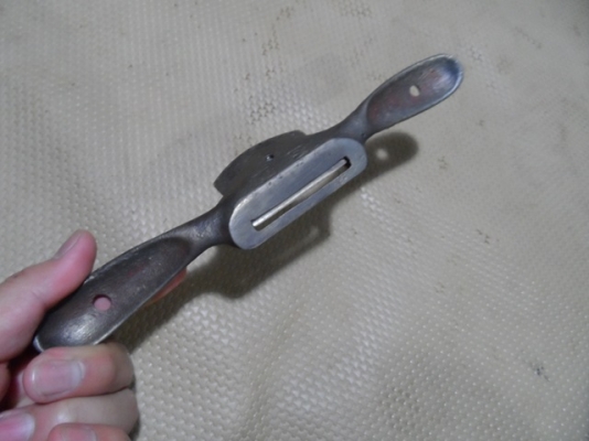 กบผีเสื้อ เยอร์มัน ครับ