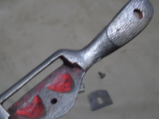 กบผีเสื้อ เยอร์มัน ครับ