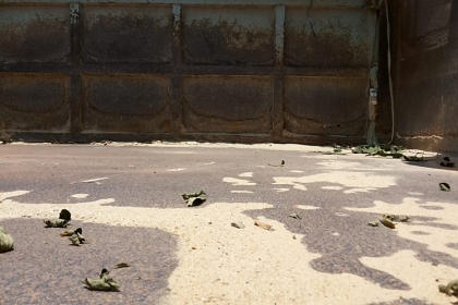 ***ขายแล้วครับขอบคุณ Truck2hand ขาย10ล้อ2เพลาดั้ม2คานหน้า ISUZU ROCKY 210 6SA1 คัสซี 39xxxเครื่องเดิมเกียร์เดิม ติดก๊าซCNG 7 ถัง (ลงเล่ม) เครื่องดี แรง ประหยัด เกียร์เดิม สโลวยก 2คานหน้า(ลงเล่ม) ช่วงล่างดีคัสซีใหญ่สวยเดิม ไม่บวม ไม่ปะไม่ดาม กระบะดั้มเหล็ก ***ขายแล้วครับขอบคุณ Truck2hand ขาย10ล้อ2เพลาดั้ม2คานหน้า ISUZU ROCKY 210 6SA1 คัสซี 39xxxเครื่องเดิมเกียร์เดิม ติดก๊าซCNG 7 ถัง (ลงเล่ม) เครื่องดี แรง ประหยัด เกียร์เดิม สโลวยก 2คานหน้า(ลงเล่ม) ช่วงล่างดีคัสซีใหญ่สวยเดิม ไม่บวม ไม่ปะไม่ดาม กระบะดั้มเหล็ก