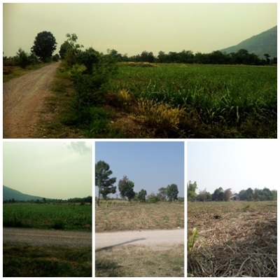 ขายด่วนที่ดิน 12 ไร่ 2 งาน ราคาเพียง 1,500,000 บาท