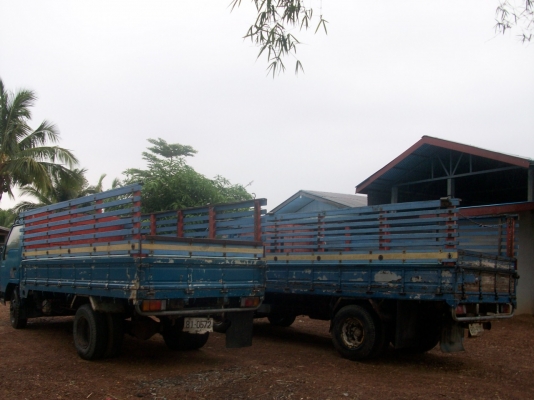 จองแล้วครับ คุณเกษม   จากสระแก้ว ขอบคุณทุกสายครับ ถ้ามีการเปลื่อนแปรงจะแจ้งให้ทราบใหม่