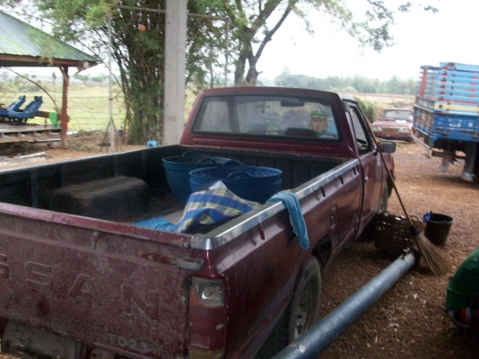 เอาใว้ทำอะใหร่  หรือต่ออีแต็น