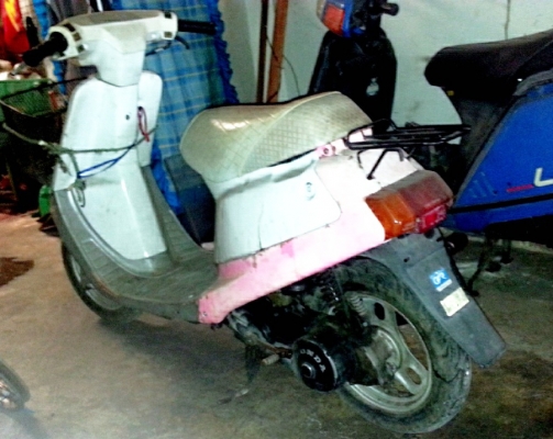 รถป๊อป HONDA