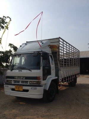 พร้อมใช้พร้อมขาย ISUZU ROCKY175 เครื่องส้มยาว 7.20 เมตร กว้าง2.45 เมตร เบรคทิฟฟี่พาวเว่อร์