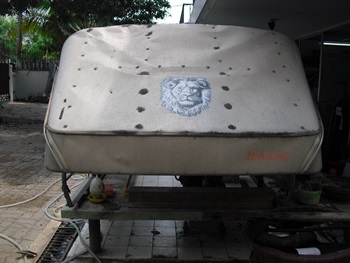 ขายหลังคารถกระบะTOYOTA