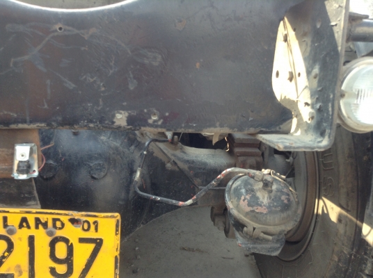 ขายหัวลากโปรเซียแท้