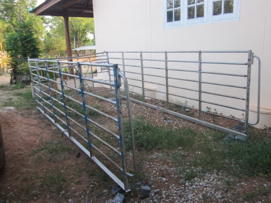 ขายNPR120 แรง เครื่องฝาขาว ปี 43 แคชซีสวย สภาพพร้อมใช้ เอกสารพร้อมโอน