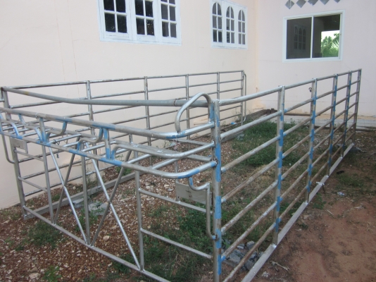 ขายNPR120 แรง เครื่องฝาขาว ปี 43 แคชซีสวย สภาพพร้อมใช้ เอกสารพร้อมโอน