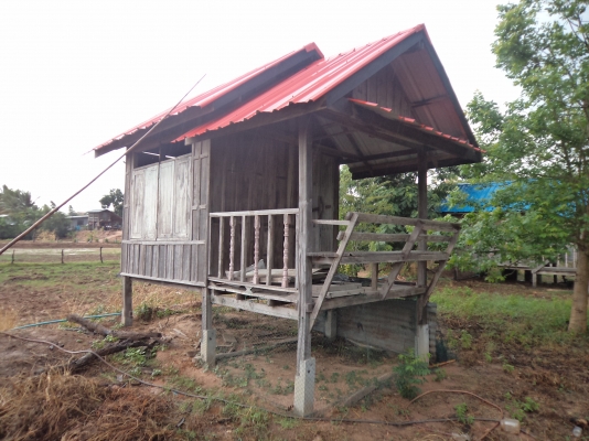 ขาย35000บาทบ้านน็อกดาวน์ถูกๆ บ้านเคลื่อนที่ เหมาะเอาไปทำบ้านสวนหรือรีสอร์ท