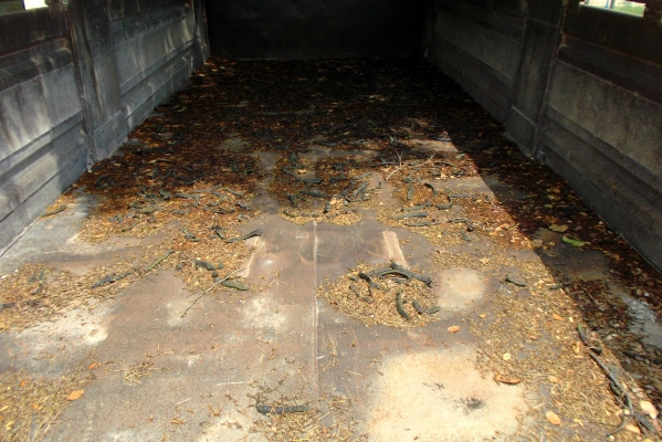 ขายด่วนห่างพ่วงดรั้ม3คาลยักษ์กะบะยาว6.2เมตรยางใส่ให้ครบ