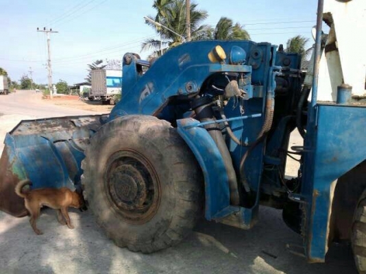 ขาย รถตัก KL60A.     สนใจติดต่อ 081 - 6079515