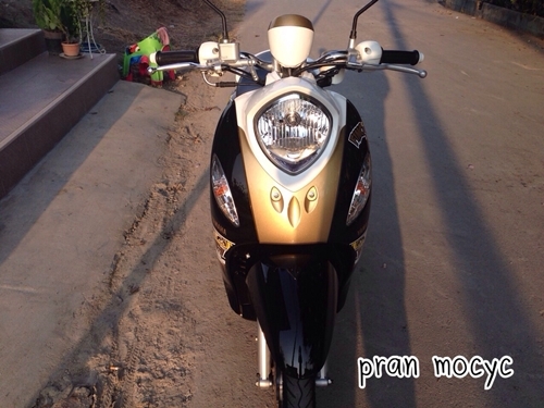 ขายfino fi สีดำน้ำตาลขาว ปี2556 ขายfino fi สีดำน้ำตาลขาว ปี2556