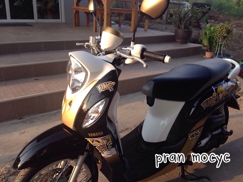 ขายfino fi สีดำน้ำตาลขาว ปี2556 ขายfino fi สีดำน้ำตาลขาว ปี2556