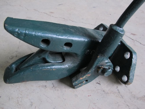 ขายปากนกแก้ว2ตัว เหลือตัวสีเขียว1ตัว