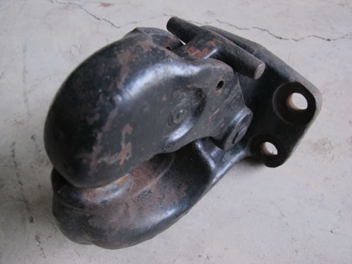 ขายปากนกแก้ว2ตัว เหลือตัวสีเขียว1ตัว