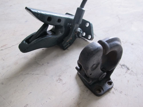 ขายปากนกแก้ว2ตัว เหลือตัวสีเขียว1ตัว