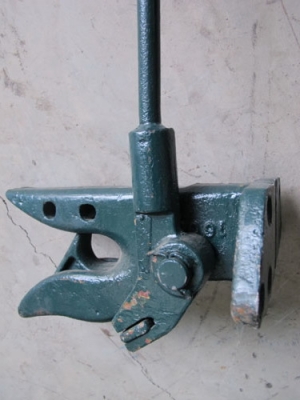 ขายปากนกแก้ว2ตัว เหลือตัวสีเขียว1ตัว