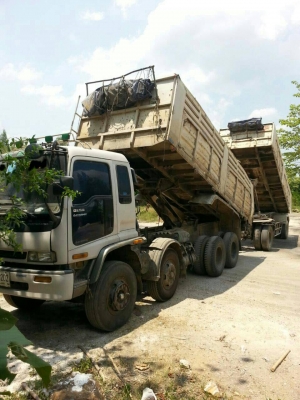 ขาย270แม่12ล้อพร้อมลูก