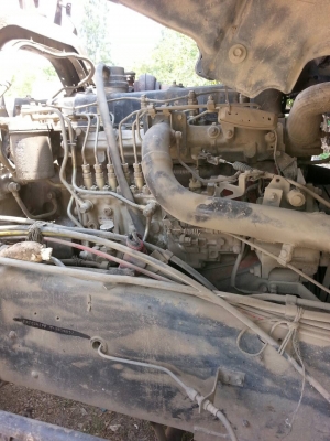 ขาย270แม่12ล้อพร้อมลูก