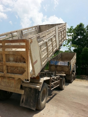 ขาย270แม่12ล้อพร้อมลูก