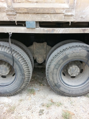 ขาย270แม่12ล้อพร้อมลูก