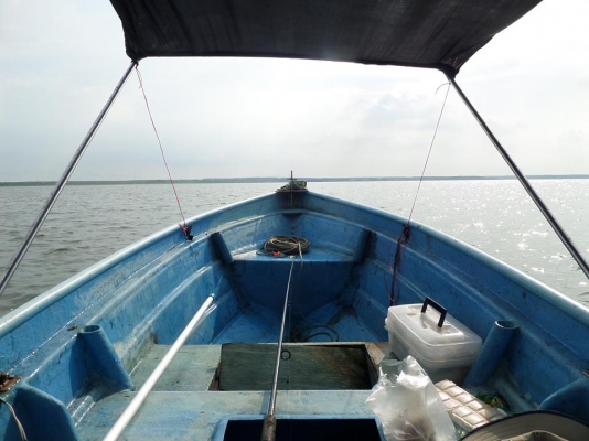 ขายต่อเรือไฟเบอร์พร้อมเครื่อง