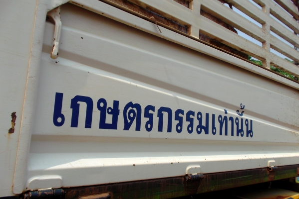 ขายด่วนรถสิบล้อHINOMAGAดรั้มเกษตร320แรงแม้ลูก3คาลปี49