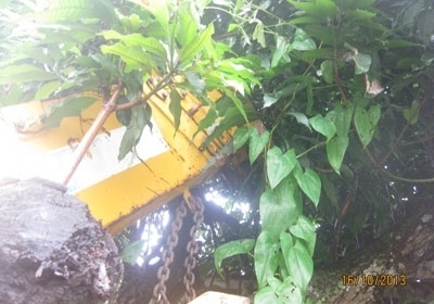 ขายเครน Tadano Super Z305 ขนาด 3 ตัน 5 ปลอก สภาพดี โทร 088-4501277