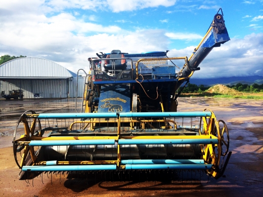 ขายรถเกี่ยวข้าวเกษตรพัฒนา จ้าวช้างไวไฟ ด่วนครับ