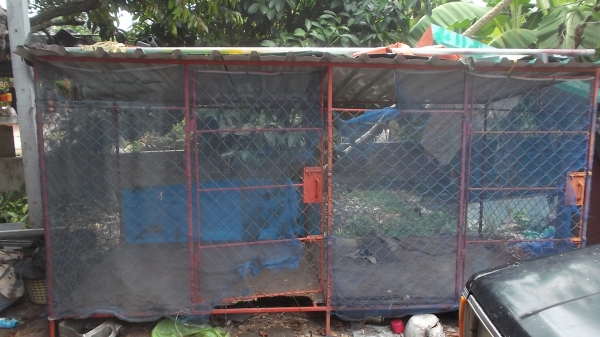 กรงขังสุนัข