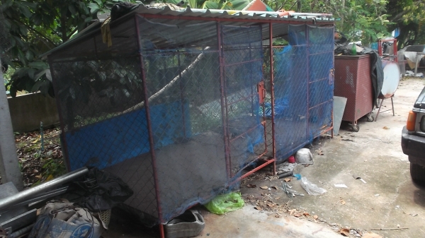 กรงขังสุนัข