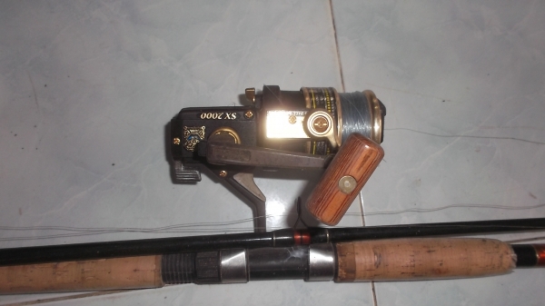 เป็ดตกปลา เป็ดตกปลา