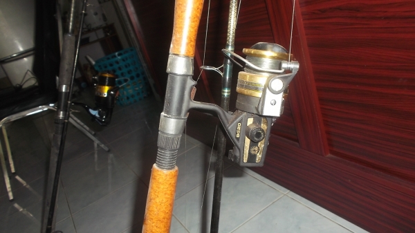 เป็ดตกปลา