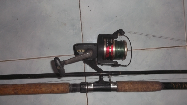 เป็ดตกปลา เป็ดตกปลา